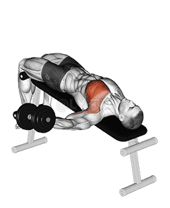 Dumbbell Decline One Arm Fly demonstration