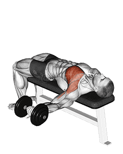 Dumbbell One Arm Bench Fly demonstration