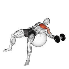 Dumbbell One Arm Chest Fly on Exercise Ball demonstration