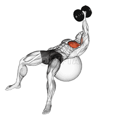 Dumbbell One Arm Fly on Exercise Ball demonstration