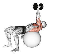 Dumbbell One Arm Pullover on Exercise Ball demonstration