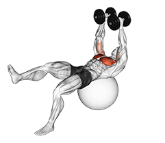 Dumbbell One Leg Fly on Exercise Ball demonstration