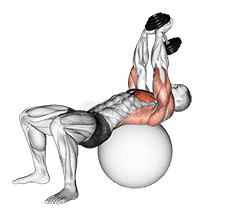Dumbbell Pullover on Exercise Ball demonstration