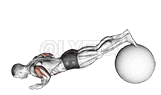 Exercise Ball Pike Push up demonstration