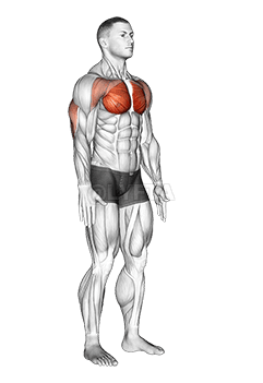 Isometric Chest Squeeze demonstration