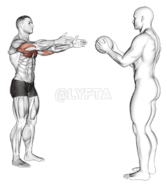 Medicine Ball Chest Pass demonstration