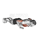 Plyo Push Up demonstration