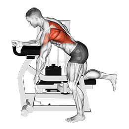 Lever Unilateral Row demonstration