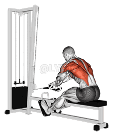 Cable Rope Crossover Seated Row demonstration