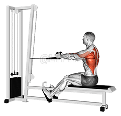 Rope Seated Row demonstration