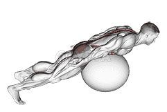Exercise Ball Back Extension With Rotation demonstration