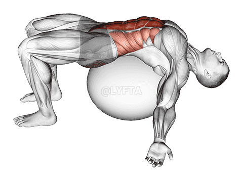 Exercise Ball Back Stretch demonstration