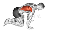Kneeling Lat Stretch demonstration