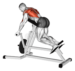 Lever Reverse T-Bar Row demonstration