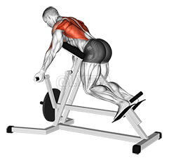Lever Reverse T-Bar Row demonstration