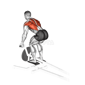 Lever T-Bar Reverse Grip Row demonstration
