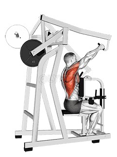 Lever One Arm Lateral High Row demonstration