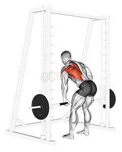 Smith One Arm Row demonstration