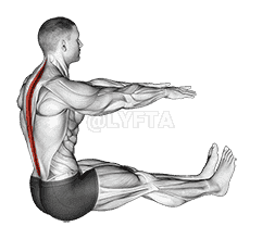 Spine Stretch demonstration