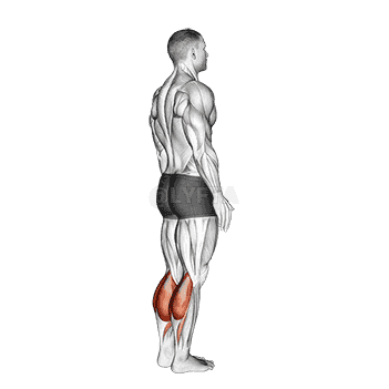 Bodyweight Standing Calf Raise demonstration