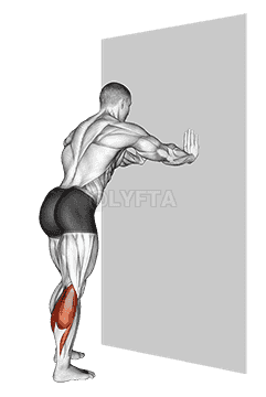 Calf Stretch With Hands Against Wall demonstration