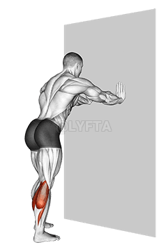 Calf Stretch With Hands Against Wall demonstration