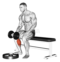 Dumbbell Seated One Leg Calf Raise - Palm up demonstration