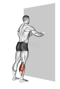 Standing Gastrocnemius demonstration