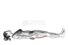 Hamstrings Lying Stretch demonstration