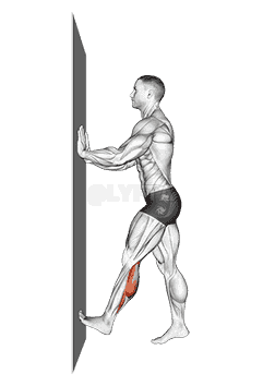 Calf Push Stretch With Hands Against Wall demonstration