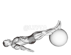 Exercise Ball One Legged Diagonal Kick Hamstring Curl demonstration