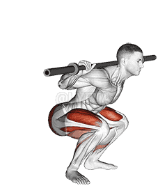 Kneeling Jump Squat demonstration