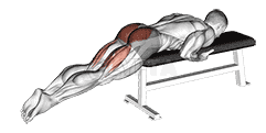 Reverse Hyper on Flat Bench demonstration
