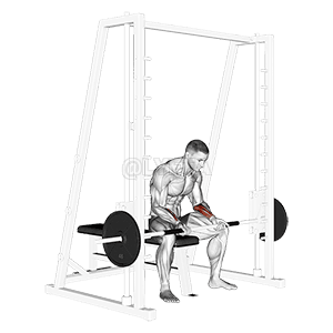 Smith Seated Wrist Curl demonstration