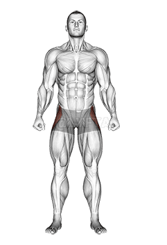 Straight Leg Outer Hip Abductor demonstration