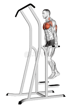 Chest Dip demonstration