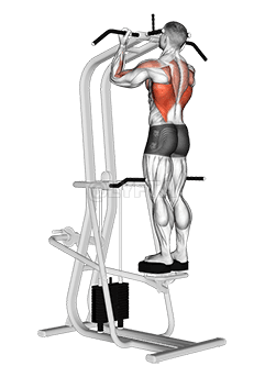 Assisted Standing Chin-Up demonstration