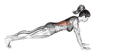 Plank arm lifts demonstration