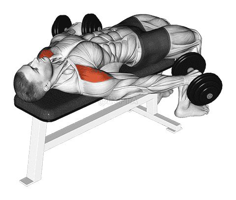 Dumbbell Lying Pronated Grip Maltese Hold Isometric demonstration