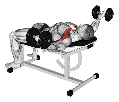 Dumbbell Incline 30 degrees Flye Hold Isometric demonstration