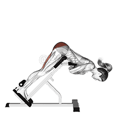 45 degree hyperextension demonstration