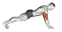 Push-up on Forearms demonstration