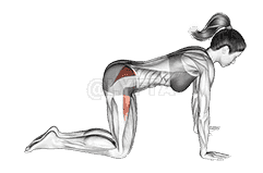 Bent Leg Side Kick demonstration