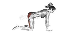 Straight Leg Kickback demonstration