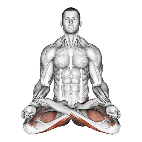 Full Lotus Yoga Pose demonstration