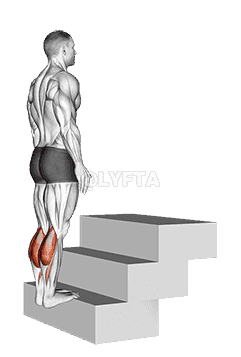 Standing Calf Raise demonstration