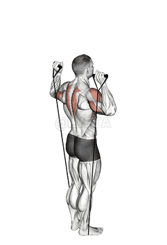 Band Behind Neck Shoulder Press demonstration