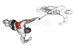 Band Side Plank Row with Partner demonstration