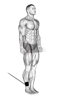 Band Hip Flexion demonstration