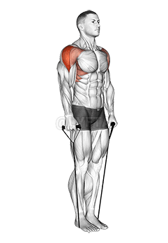 Band Lateral Raise demonstration